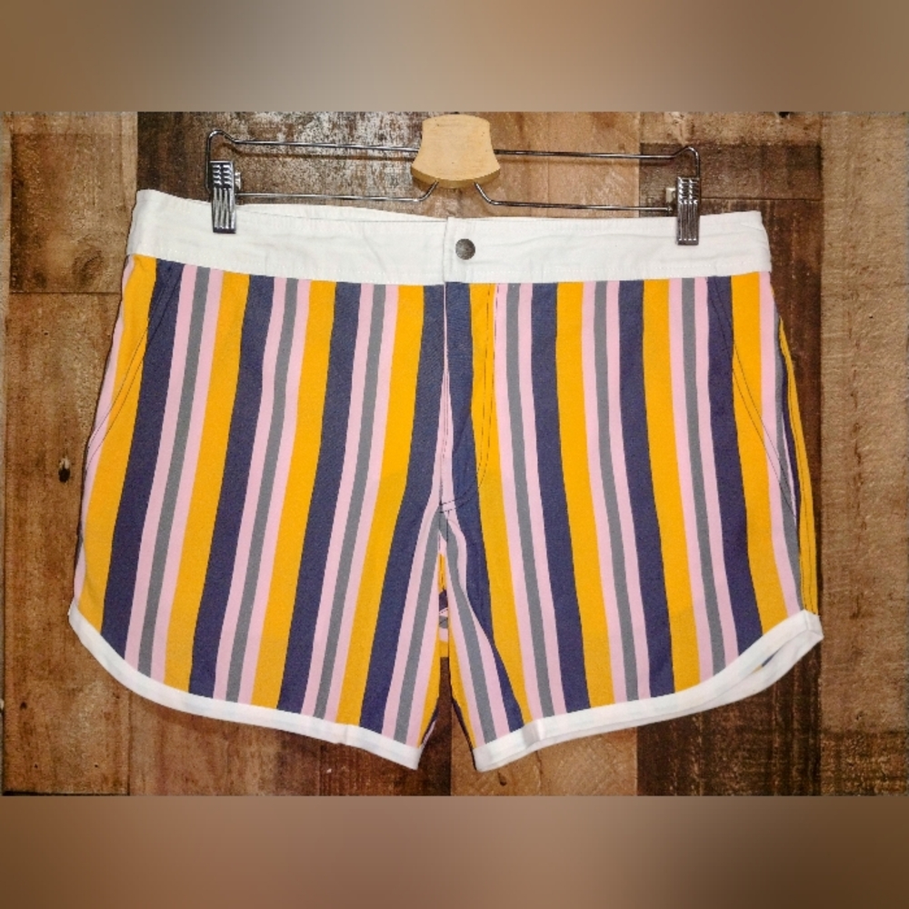 NWT MR. TURK Men's San Simeon Striped Swim Trunk Swim Shorts Size 34
